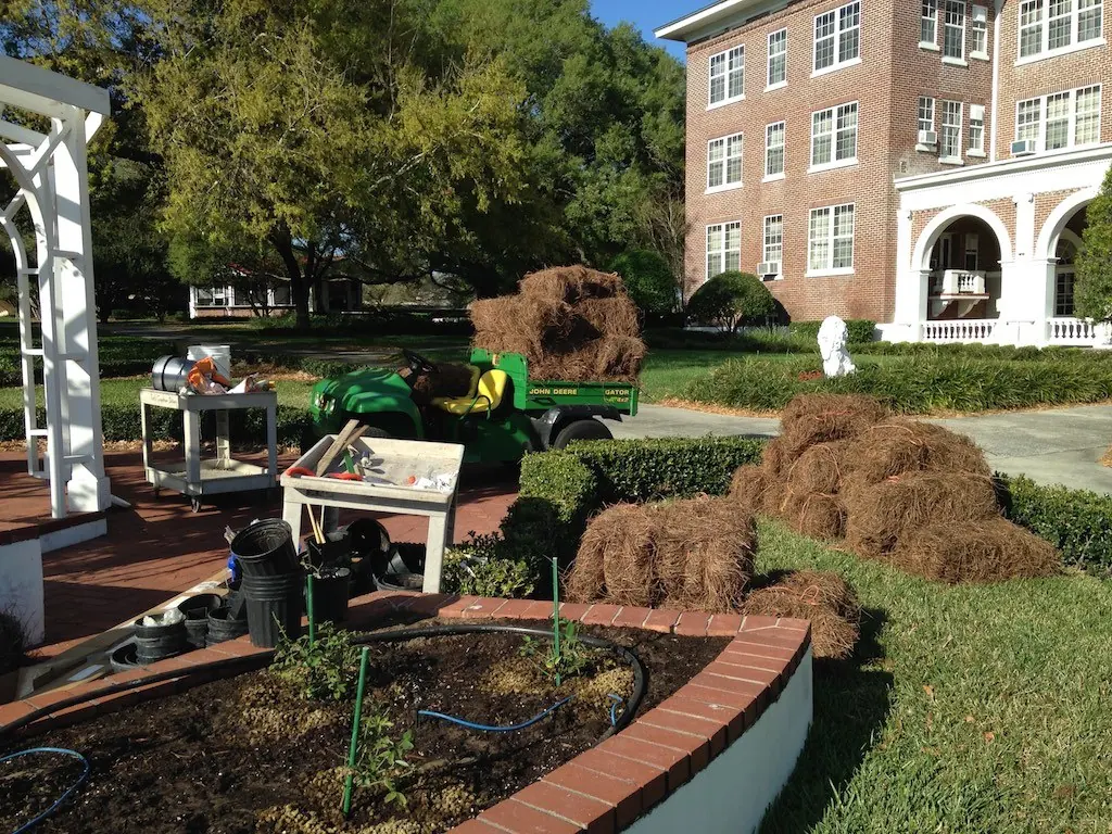 Bales of pine straw staged beside a planted bed before they are spread.
