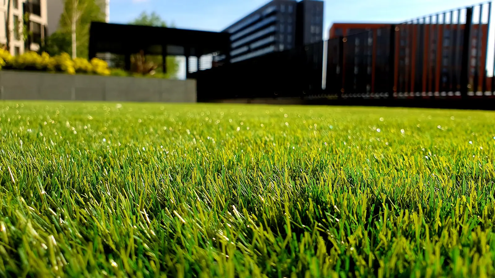 Close blades of established green turf.